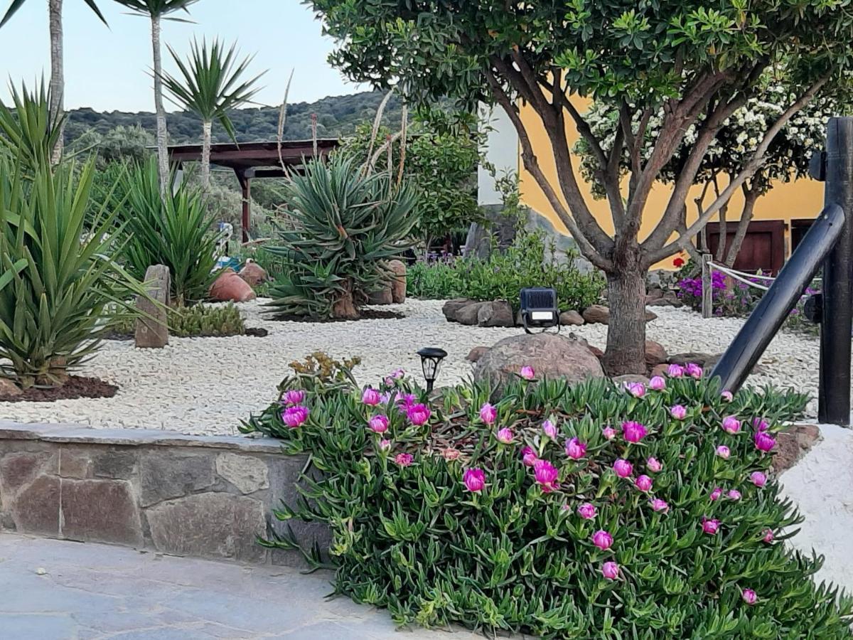 Villa Saige , Piscina Ad Uso Esclusivo, Con Idromassaggio Alghero Exterior photo